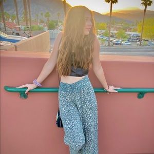 Meet your Posher, Bella